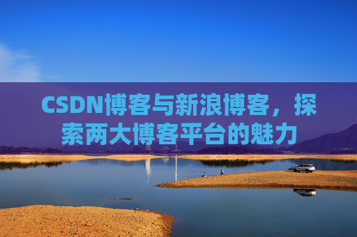 CSDN博客与新浪博客，探索两大博客平台的魅力
